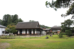 �y�X��